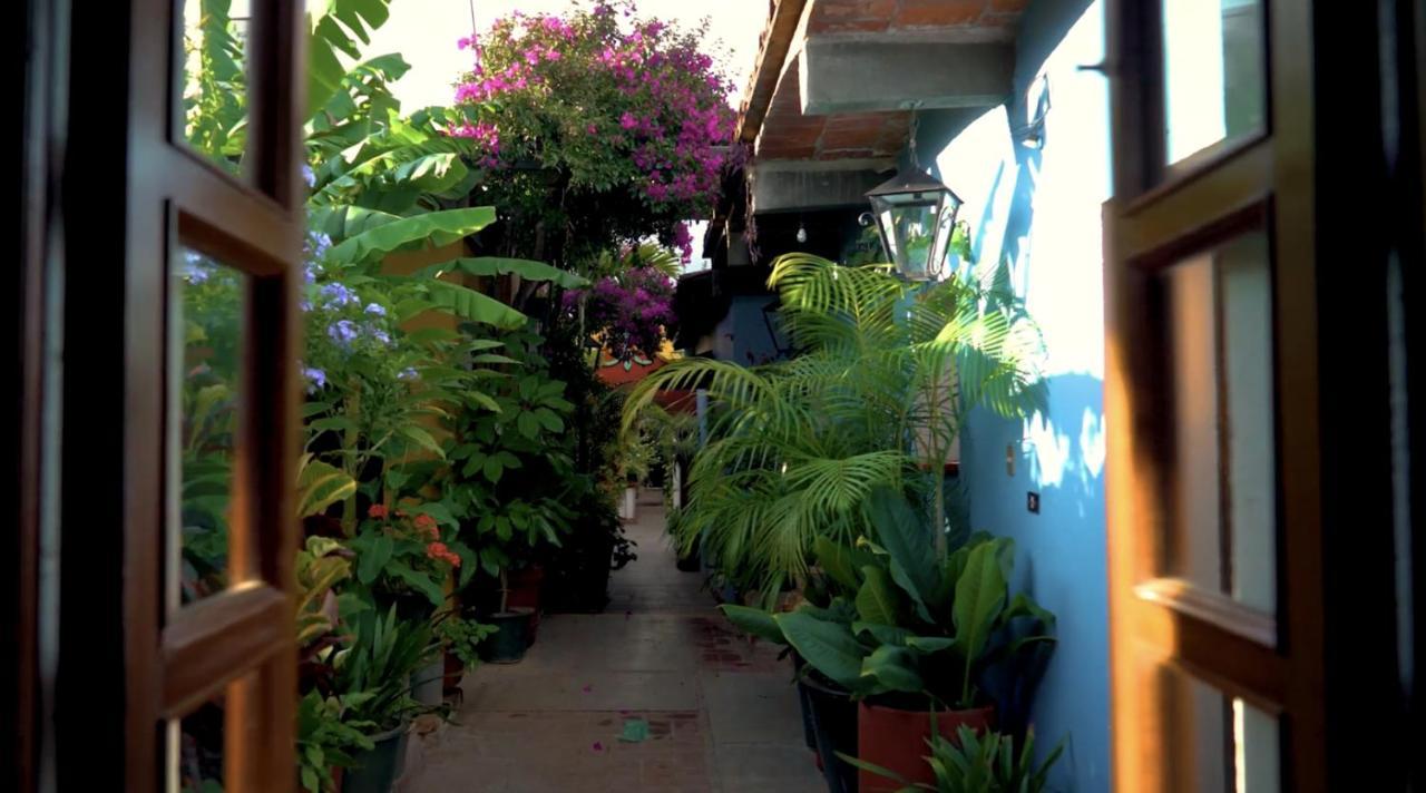 Hotel Las Golondrinas Oaxaca Exterior foto