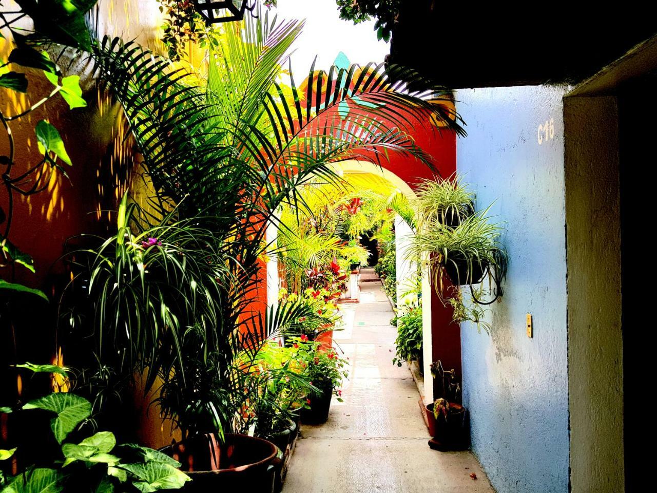 Hotel Las Golondrinas Oaxaca Exterior foto